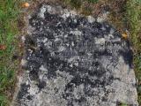 image of grave number 910627